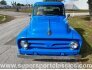 1953 Ford F100 for sale 101837229