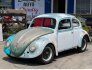 1958 Volkswagen Beetle for sale 101746768