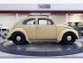 1962 Volkswagen Beetle for sale 101813331
