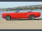 Thumbnail Photo 4 for New 1964 Ford Mustang