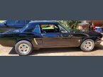 Thumbnail Photo 3 for 1964 Ford Mustang Coupe for Sale by Owner