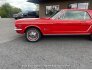 1964 Ford Mustang for sale 101758706