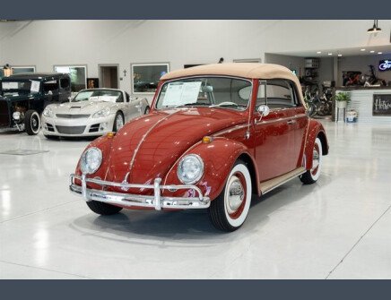 Photo 1 for 1964 Volkswagen Beetle