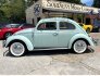 1964 Volkswagen Beetle for sale 101769968