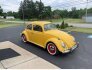 1964 Volkswagen Beetle for sale 101787365