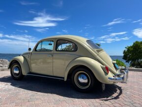 1964 Volkswagen Beetle Coupe for sale 101921584