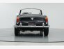 1965 Alfa Romeo Giulia for sale 101814963