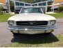 1965 Ford Mustang for sale 101734978