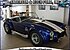 1965 Shelby Cobra for sale 101288786