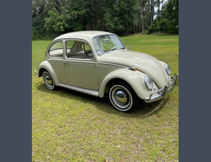 Photo 1 for 1965 Volkswagen Beetle