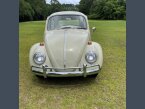 Thumbnail Photo 2 for 1965 Volkswagen Beetle