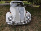 Thumbnail Photo 1 for 1965 Volkswagen Beetle for Sale by Owner
