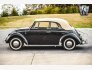 1965 Volkswagen Beetle for sale 101816913