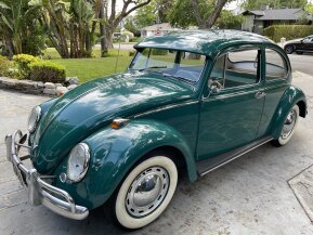 1965 Volkswagen Beetle Coupe for sale 101821314
