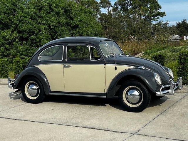 1965 Volkswagen Beetle Classic Cars for Sale - Classics on Autotrader