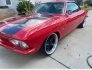 1966 Chevrolet Corvair for sale 101813832