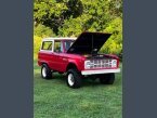 Thumbnail Photo 6 for 1966 Ford Bronco