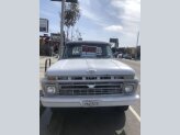 1966 Ford F250