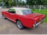 1966 Ford Mustang Convertible for sale 101753081