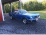 1966 Ford Mustang for sale 101785891