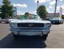 1966 Ford Mustang for sale 101790032