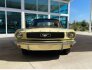 1966 Ford Mustang for sale 101795901