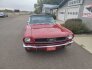 1966 Ford Mustang Convertible for sale 101805320