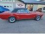 1966 Ford Mustang Convertible for sale 101805320