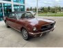 1966 Ford Mustang for sale 101805661