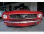 1966 Ford Mustang for sale 101816357