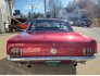 1966 Ford Mustang for sale 101819493