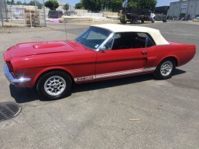 1966 Ford Mustang for sale 101896302