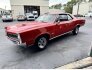 1966 Pontiac GTO for sale 101843703