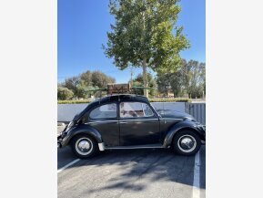 1966 Volkswagen Beetle Coupe for sale 101746831
