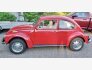1966 Volkswagen Beetle for sale 101828666