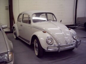 1966 Volkswagen Beetle for sale 101899756