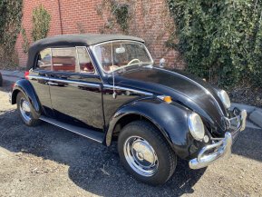 1966 Volkswagen Beetle for sale 102021115