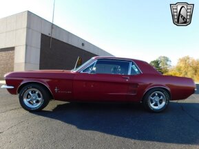 1967 Ford Mustang for sale 101808832
