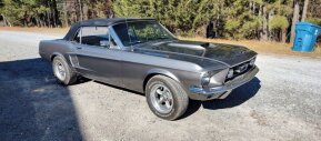 1967 Ford Mustang for sale 101842048