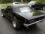 Thumbnail Photo 1 for 1968 Pontiac Firebird Convertible for Sale by Owner