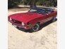 1969 Chevrolet Camaro SS Convertible for sale 101585246