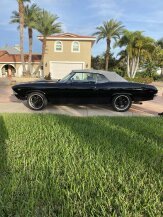 1969 Chevrolet Chevelle SS for sale 101978042