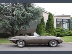 Thumbnail Photo 2 for 1969 Jaguar XK-E