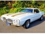 1969 Pontiac Firebird for sale 101801105