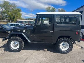 1969 Toyota Land Cruiser for sale 101958508
