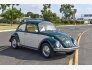 1969 Volkswagen Beetle for sale 101808253