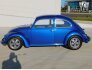 1969 Volkswagen Beetle for sale 101837647