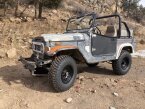 Thumbnail Photo 2 for 1970 Toyota Land Cruiser for Sale by Owner