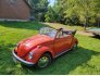 1970 Volkswagen Beetle for sale 101791030