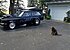 1971 Chevrolet Vega for sale 101184356